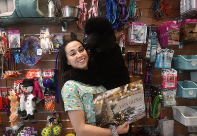 Primer clasificado: Vaya Greñas Peluquería Canina y Felina