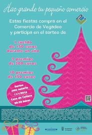 CAMPAÑA DE NAVIDAD DEL COMERCIO DE VEGADEO 2014/2015